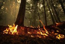 La bajada de las temperaturas ayuda a controlar los incendios en el oeste de Canadá