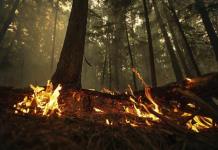 Bomberos logran avances ante incendios en Canadá; siguen evacuaciones