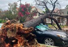 La tormenta Hilary se disipa en el noroeste de EEUU tras batir récords de lluvias
