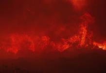 Ordenan evacuaciones ante grandes incendios descontrolados en Grecia y la isla española de Tenerife