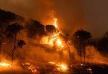 La Fiscalía griega pide investigar si hay una organización criminal tras oleada de incendios