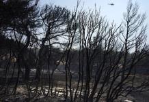Suben a 21 los fallecidos en los incendios en Grecia tras la aparición de otra víctima Suben a 21 los fallecidos en los incendios en Grecia tras la aparición de otra víctima