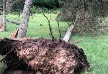 Tormentas en Michigan dejan 5 muertos; se confirman 2 tornados