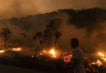 Aparece otro cadáver en una zona arrasada por el fuego en Grecia