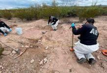 Ya son once cuerpos localizados en el  Mpio. de  Coyame