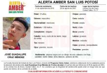 Activa FGE Alerta Amber para localizar a José Guadalupe de 12 años