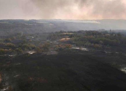 Incendios arrasan más de 40.000 hectáreas de bosque en Guatemala