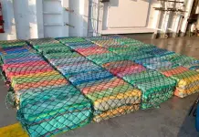 Marina rompe récord anual en aseguramiento de drogas