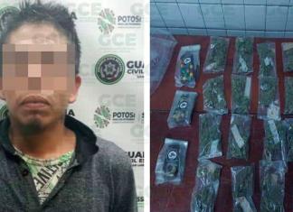 Sujeto traía chocolates de marihuana, detenido