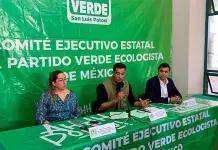 Que el diputado Fern&aacute;ndez Mart&iacute;nez no es candidato a posible presidencia de Pozos: PVEM