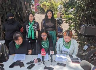 El viernes, organización Marea Verde presentará iniciativa de despenalización del aborto