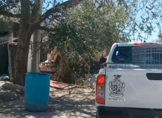 Para acabar con las garrapatas, hombre quema a su perro y su vivienda Para acabar con las garrapatas, hombre quema a su perro y su vivienda