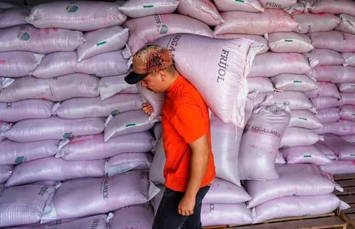 Retrasa la Sader compra de frijol a productores de SLP