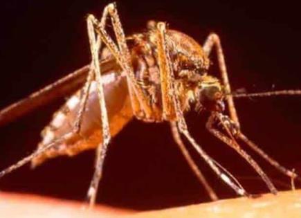 Declaración de Emergencia por Dengue en Perú