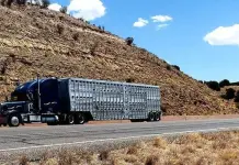 Ya no cobrar&aacute;n el uso de rampas de emergencia en carreteras