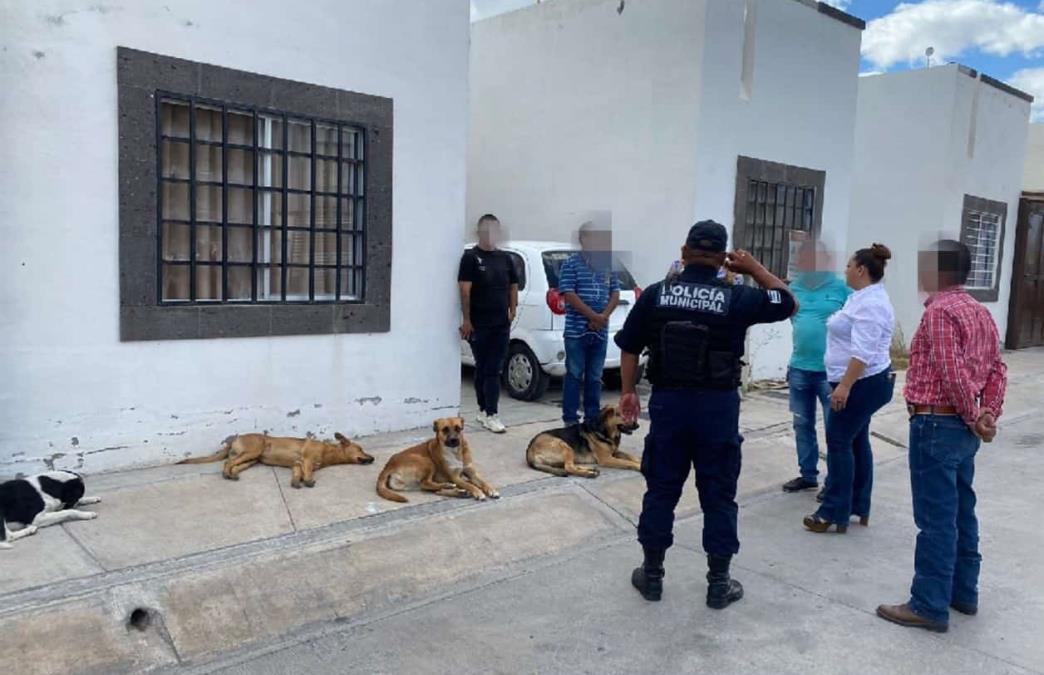 Intervienen elementos de la Secretaría de Seguridad y Protección Ciudadana