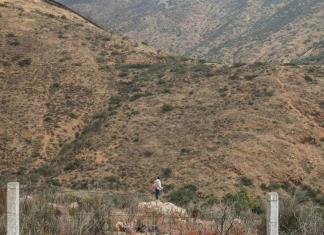 Colectivo de búsqueda y autoridades hallan 4 cuerpos de migrantes en frontera México-EEUU