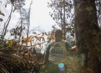 Brasil reduce deforestación de Amazonia, pero para la reserva Chico Mendes podría ser muy tarde