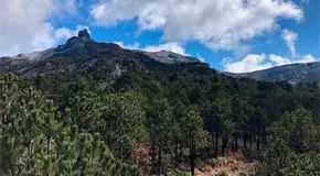 Semarnat proh&iacute;be miner&iacute;a en las ANP