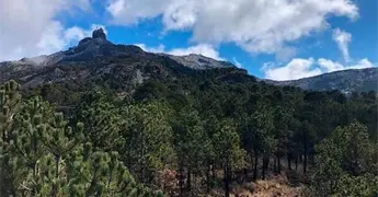 Decretan &aacute;rea natural en Villa Hidalgo y avanzan estudios para cuatro zonas m&aacute;s