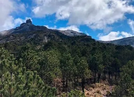 Decretan &aacute;rea natural en Villa Hidalgo y avanzan estudios para cuatro zonas m&aacute;s