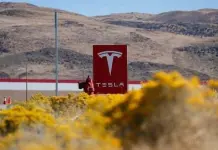 Tesla en Nuevo León, sin registro de inversión oficial: SE