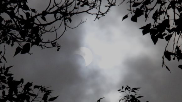 Galería: Potosinos observan eclipse en plazas y parques