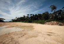 Corrupción y ecocidio: La verdad detrás del Tren Maya