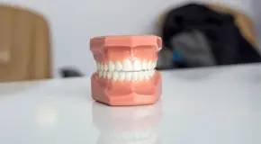 Gingivitis y Periodontitis bajo la lupa