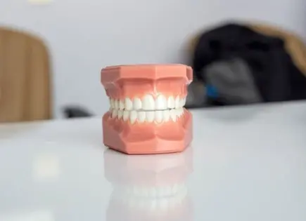 Gingivitis y Periodontitis bajo la lupa