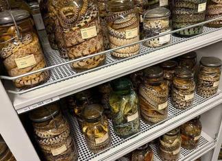 Michigan, con la mayor colección de anfibios
