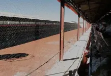 Brote de influenza aviar en una granja de Sonora