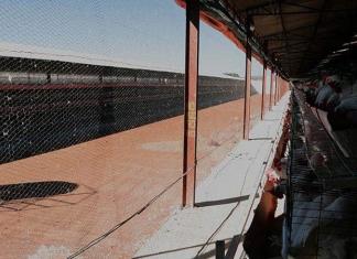Brote de influenza aviar en una granja de Sonora