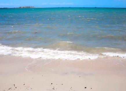 Restricción de uso de playas en La Paz debido a la contaminación