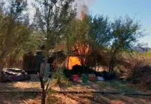 Localizan y destruyen plantío de marihuana en Pitiquito, Sonora Localizan y destruyen plantío de marihuana en Pitiquito, Sonora