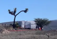 Sin identificar, ejecutados en Villa de Zaragoza