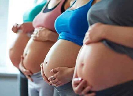 Maternidad subrogada debe analizarse: IMES