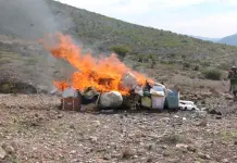 Incineran FGR y SEDENA narc&oacute;ticos decomisados en SLP (video)