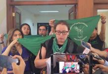 25N | Iniciativas de Marea Verde no avanzan, critica Torres Miranda