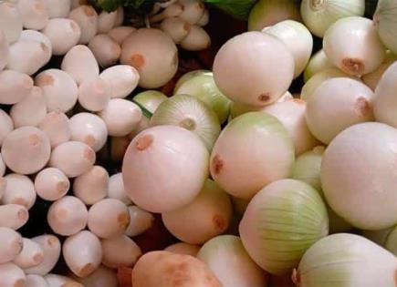 ¿Sabías que la cebolla cruda tiene beneficios sorprendentes para la salud?