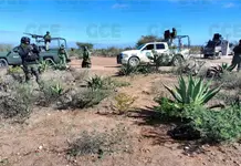 Aseguran más de 200 dosis de marihuana, cristal y cocaína en Salinas Aseguran más de 200 dosis de marihuana, cristal y cocaína en Salinas