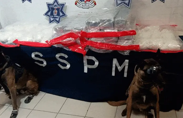 Aseguramiento de 110 kilos de cristal en Ciudad Ju&aacute;rez