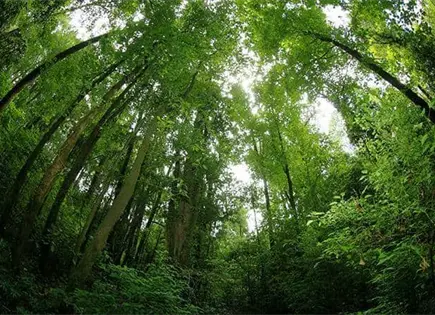 Autoridades alertan por fr&iacute;o intenso en Veracruz