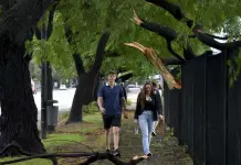 Presidente Milei y su equipo atienden emergencia por derrumbe en Bahía Blanca