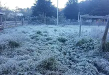 Clima en SLP: Pronostican heladas en partes altas de la entidad