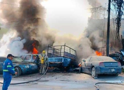 Incendios dejaron pérdidas por 250 mdp en mayo: Benavente