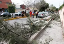 Con da&ntilde;os, 18 escuelas por fuertes vientos