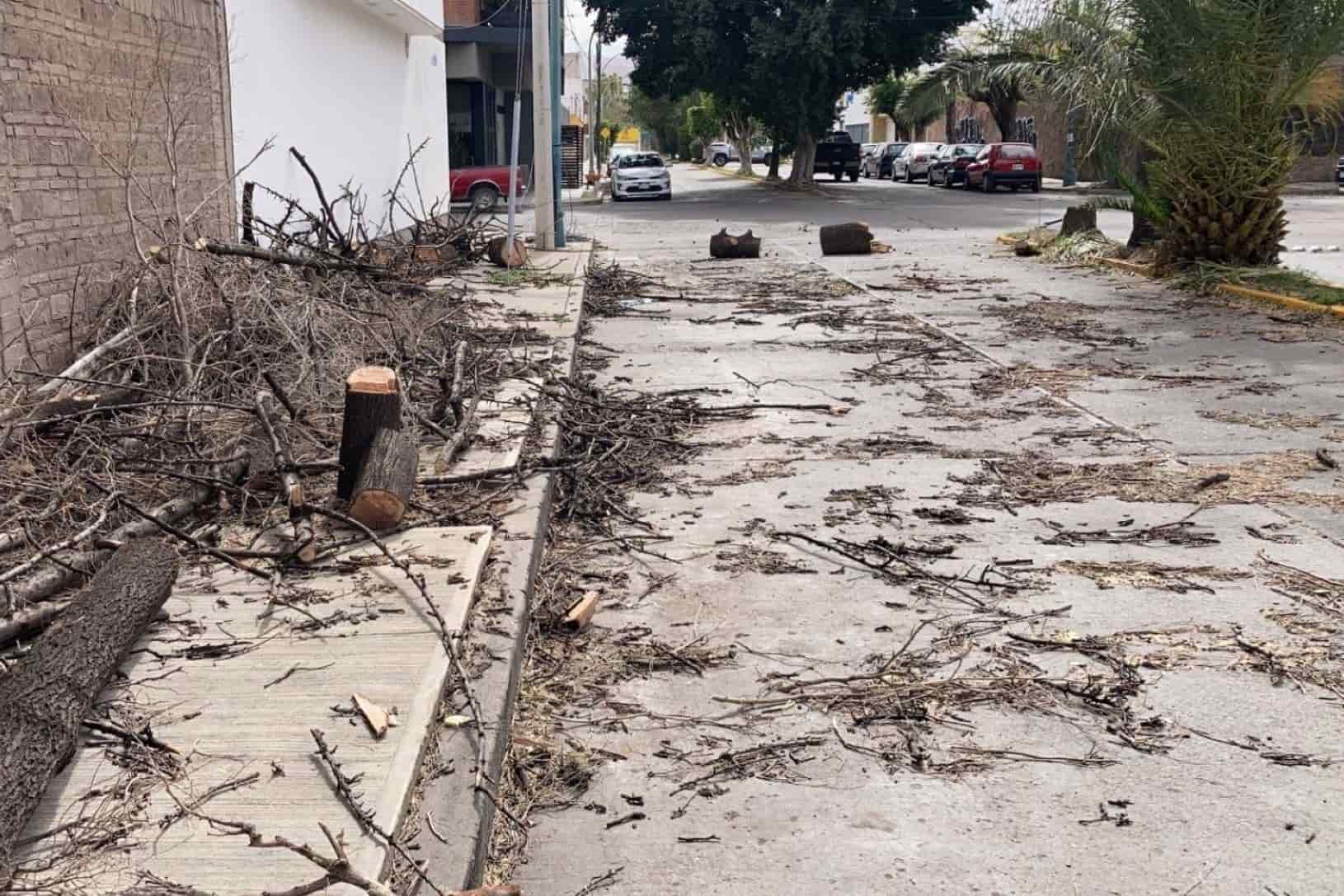 imagen carrusel
