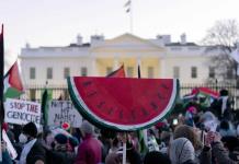 Miles marchan en EEUU y otros países en apoyo a palestinos