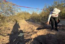 En 2 días, madres buscadoras encuentran 30 fosas clandestinas en Sonora, norte de México